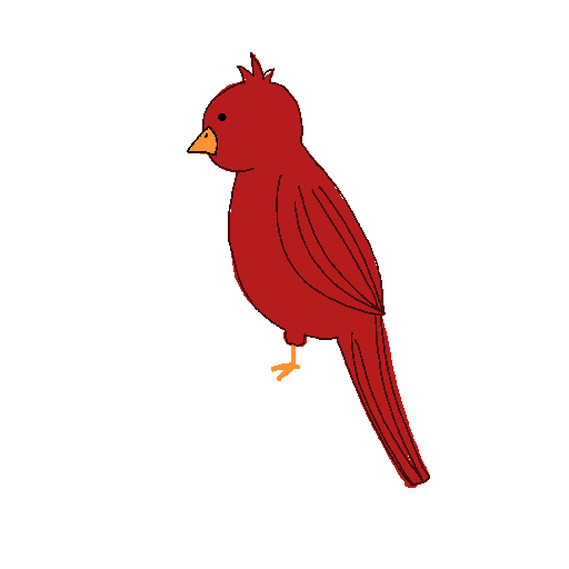 Cardinal drawing by mushoe