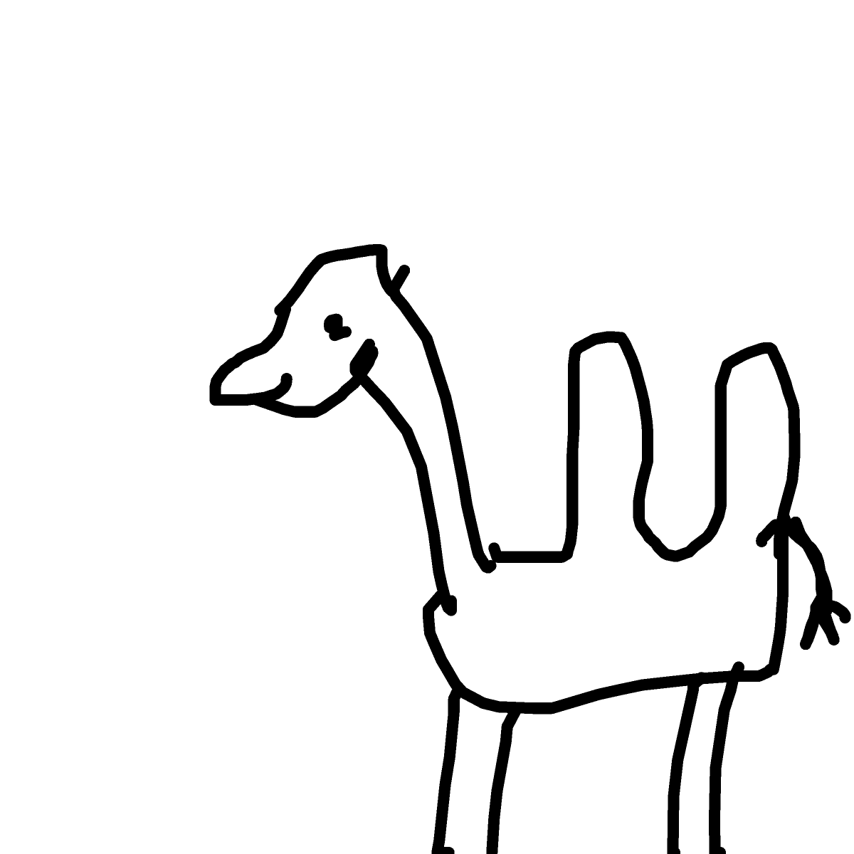 Camel drawing by loddie