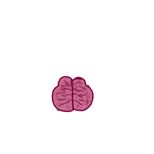 Brain drawing by plus-jet-sketcher