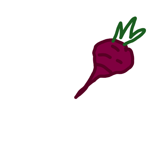 Beet drawing by Mrs O