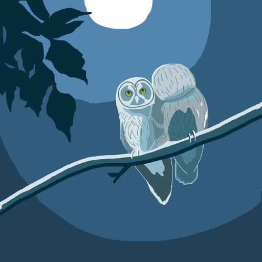 Owls drawing by firecracker