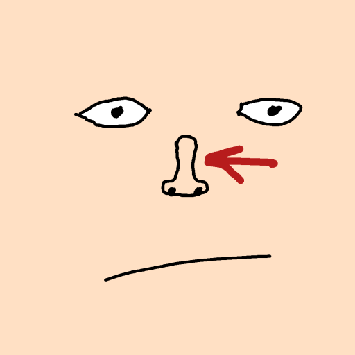 Nose drawing by dawn-hyper-pilot