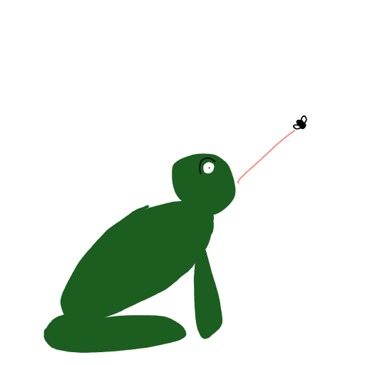Frog drawing by Shandi