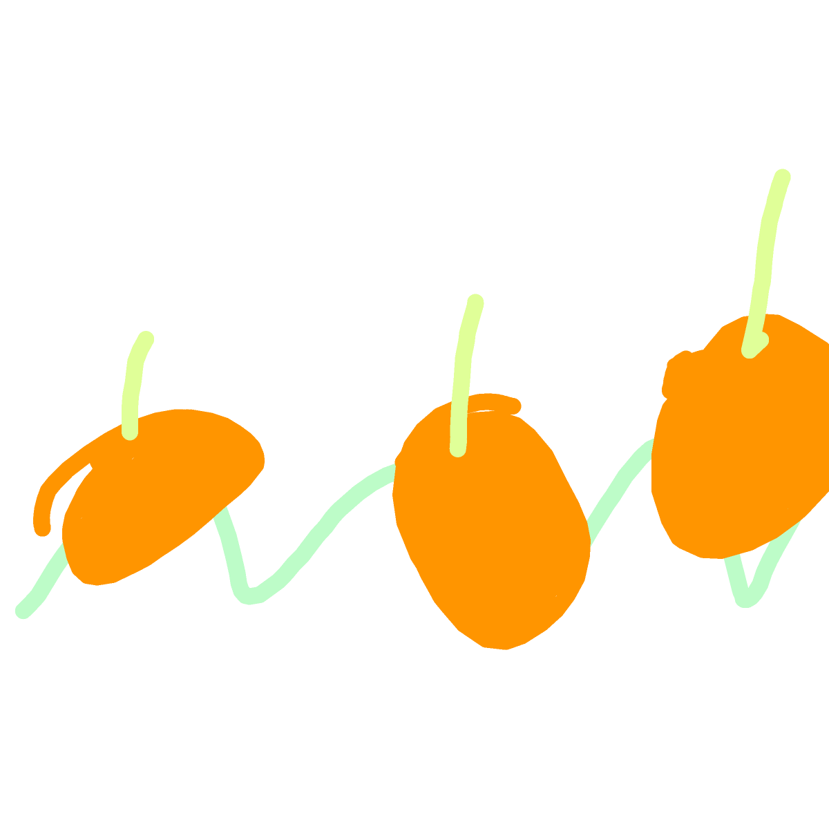 Pumpkin Patch drawing by Betsy