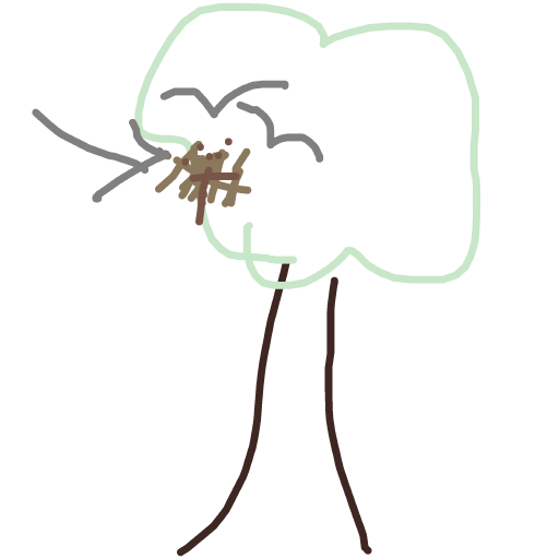 Nest drawing by fine-pure-world