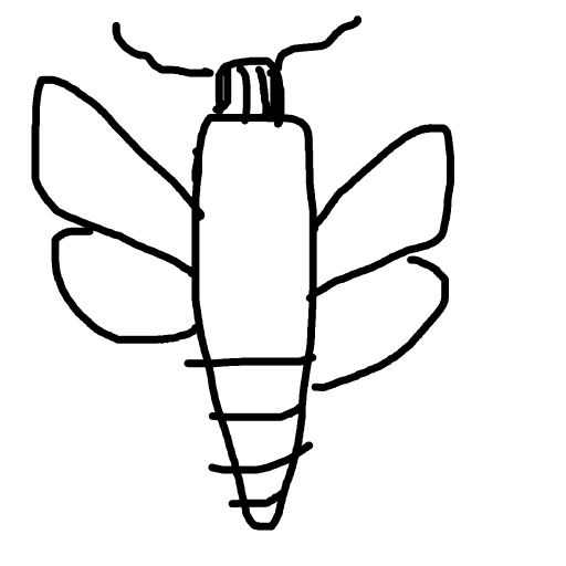 Moth drawing by mikestam195