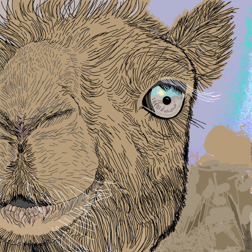Camel drawing by Bridgitte