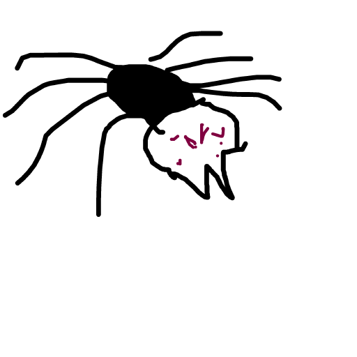 Spider drawing by troy