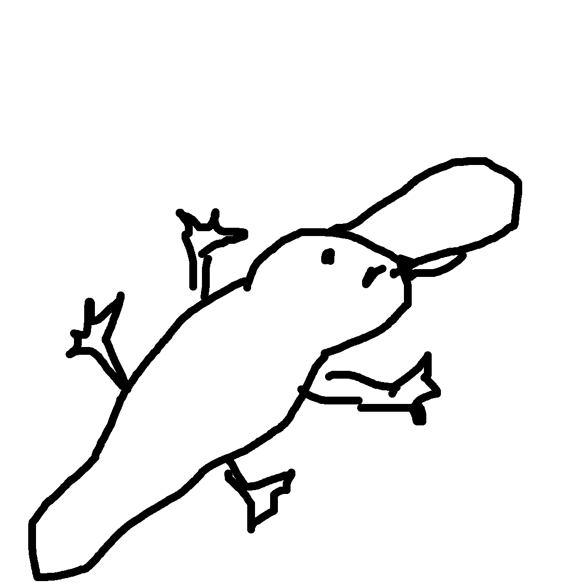 Platypus drawing by ria-ria-ria