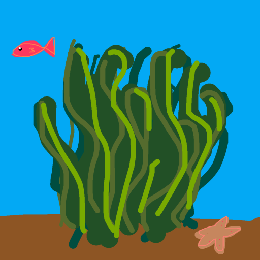 Seaweed drawing by hen