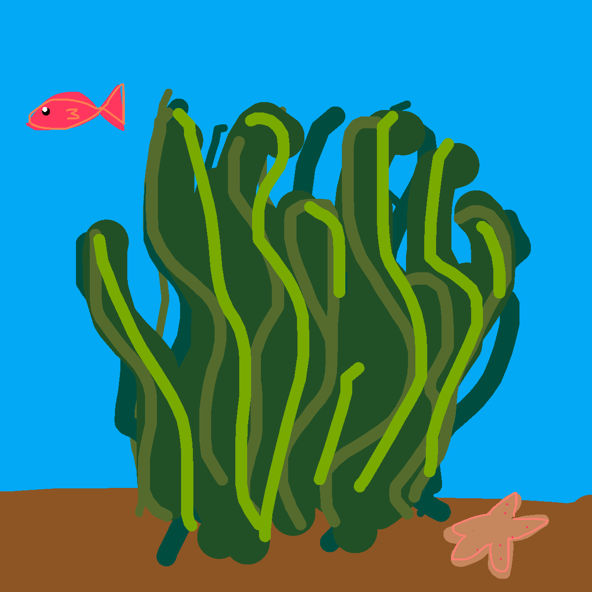 Seaweed drawing by hen