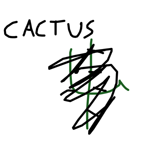 Cactus drawing by mikl pickle