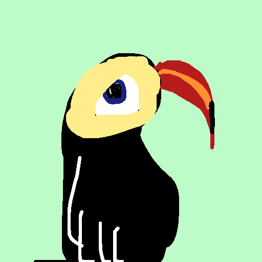 Toucan drawing by grou