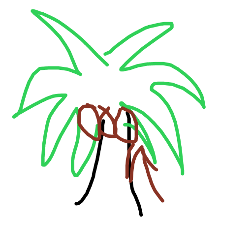 Coconut drawing by pikapikachuu