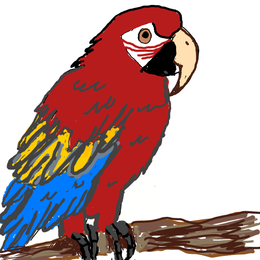 Parrot drawing by manders