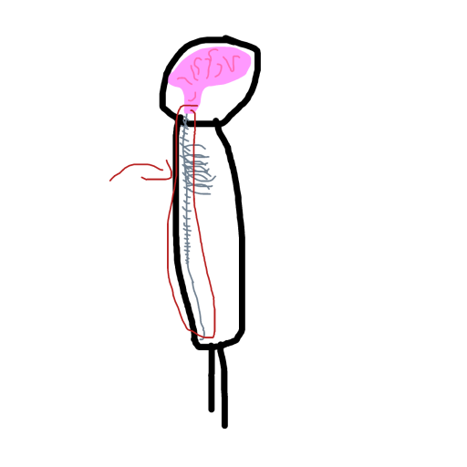 Spine drawing by iron