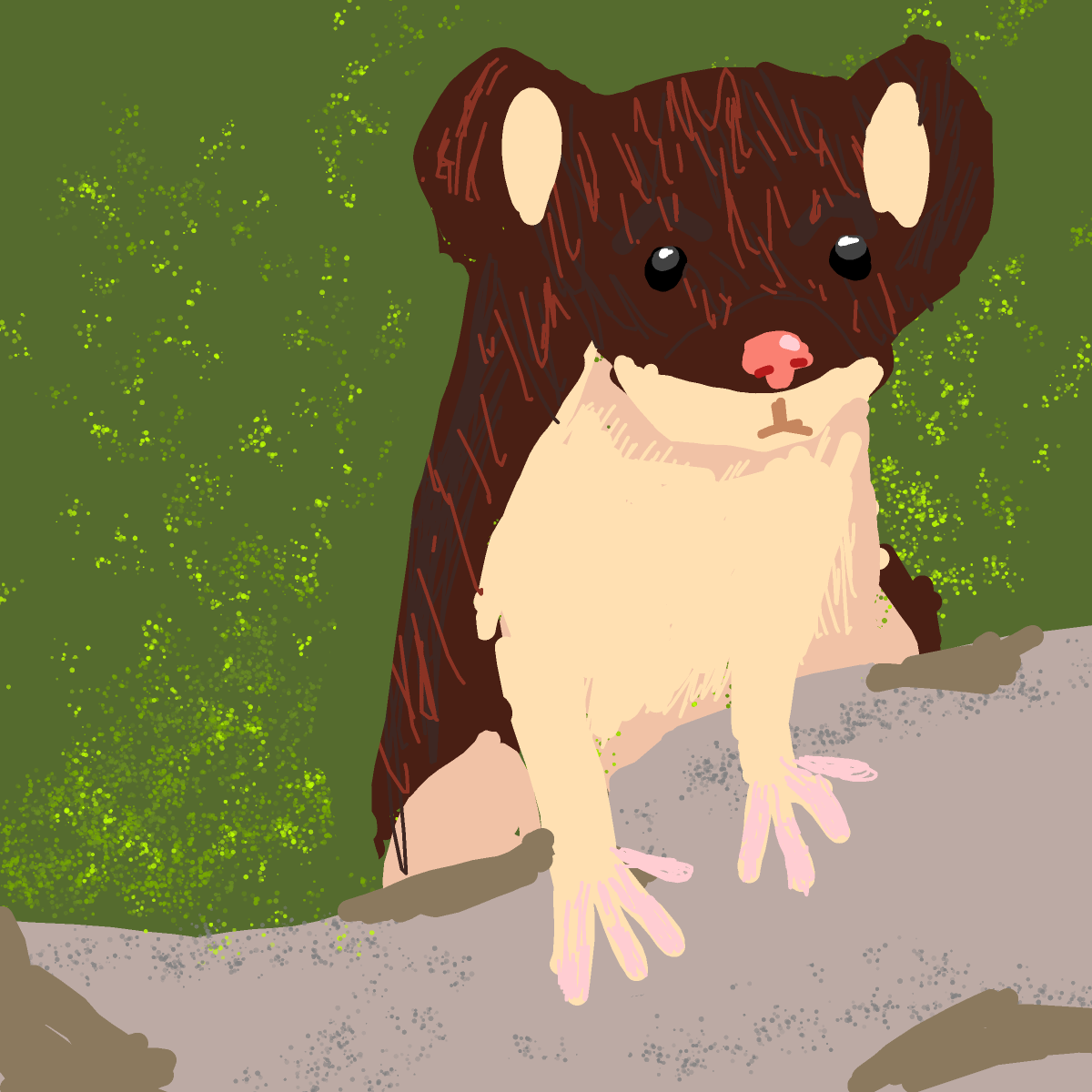 Weasel drawing by Juliezzz