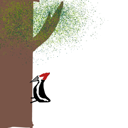 Woodpecker drawing by l sakura l