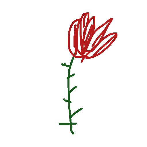 Rose drawing by maite