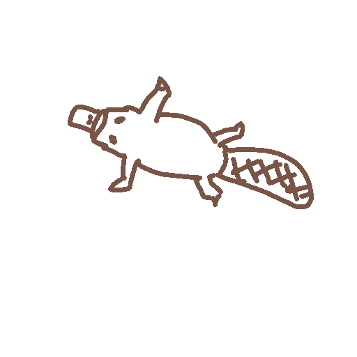 Platypus drawing by amber-graph-hammer