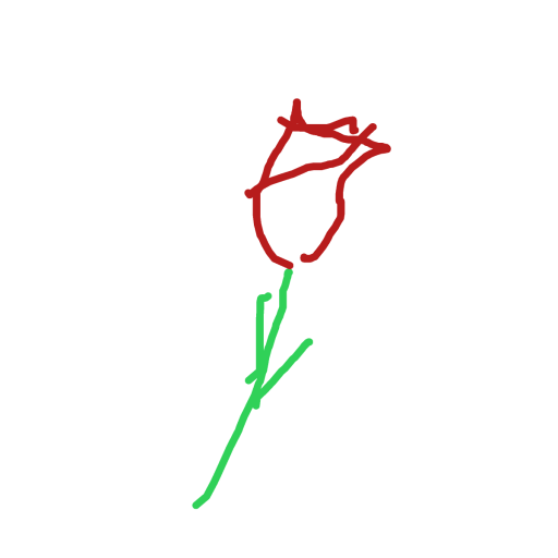 Rose drawing by toulik
