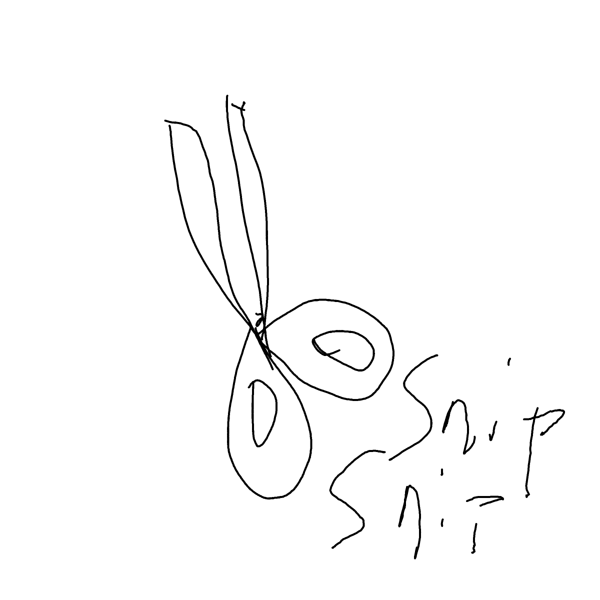 Scissors drawing by Shandi