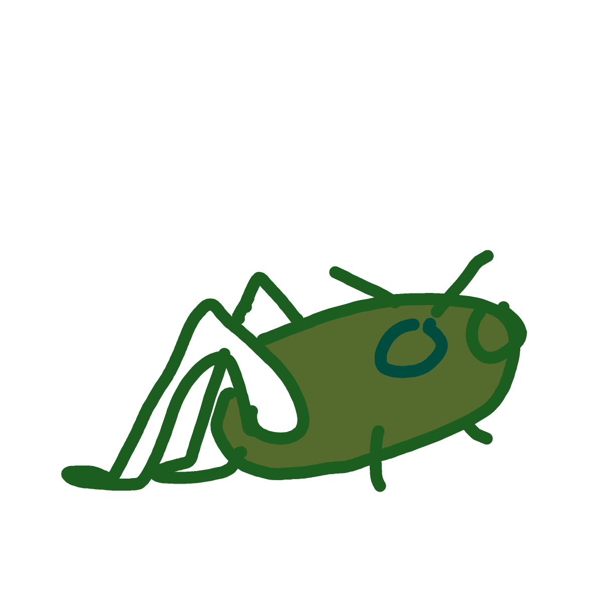 Grasshopper drawing by poptown34