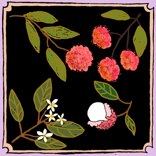Lychee drawing by Bridgitte