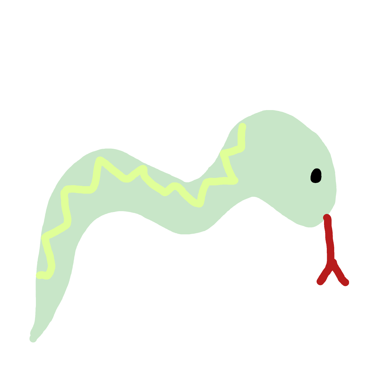Snake drawing by Megs