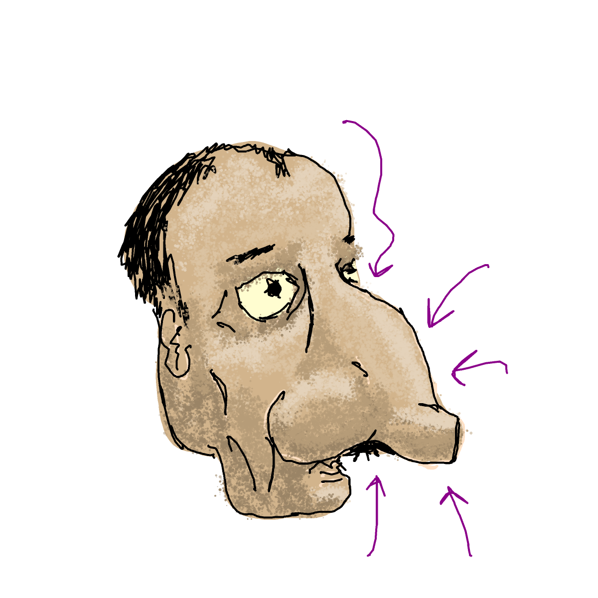 Nose drawing by godor