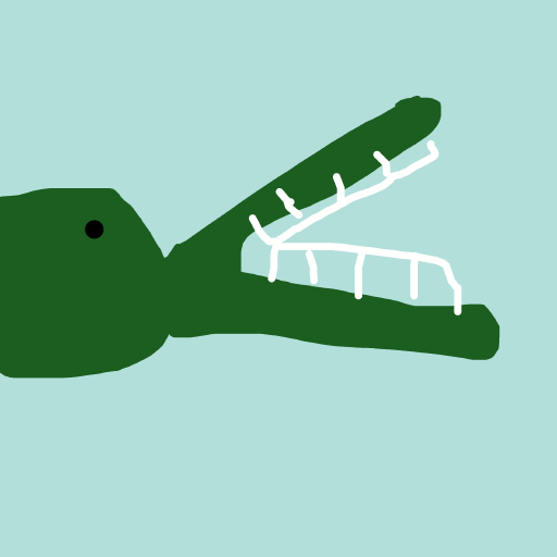 Crocodile drawing by bia