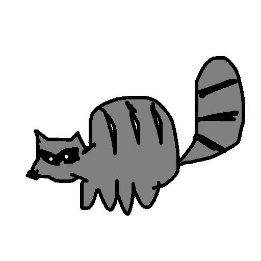 Raccoon drawing by kboyce