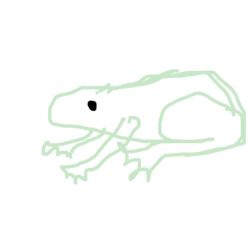 Frog drawing by thatladywhocooks