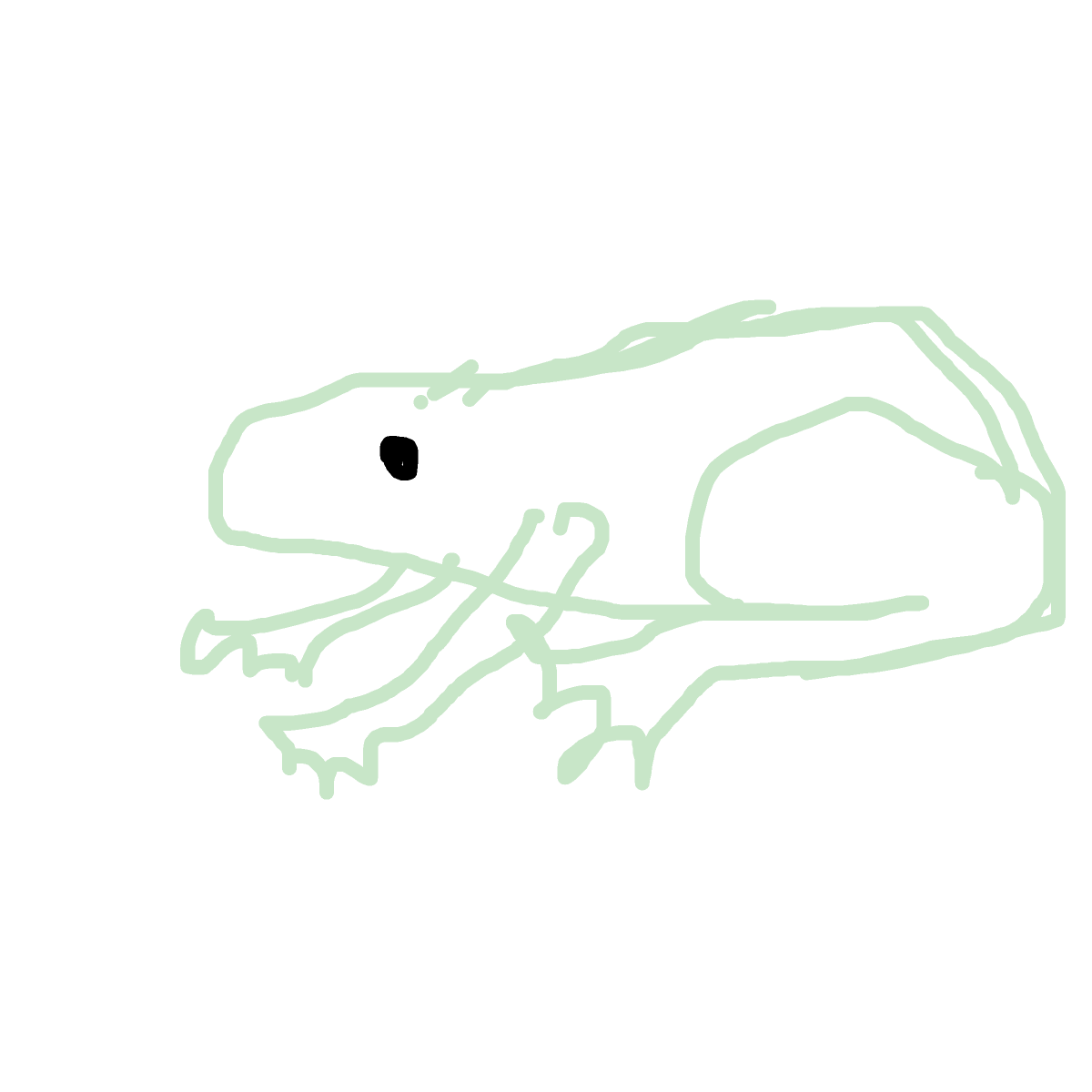 Frog drawing by thatladywhocooks