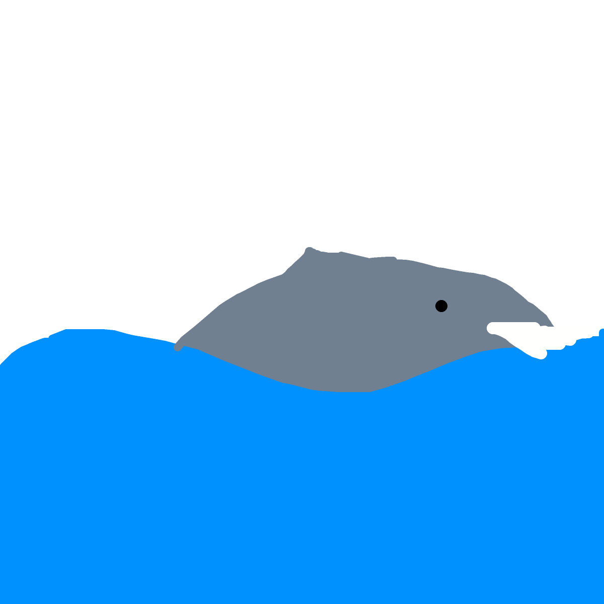 Dolphin drawing by bia