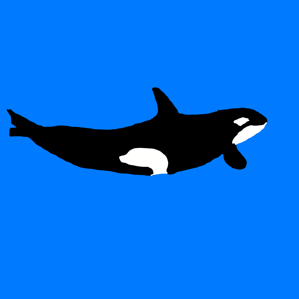 Whale drawing by Guardianoflives
