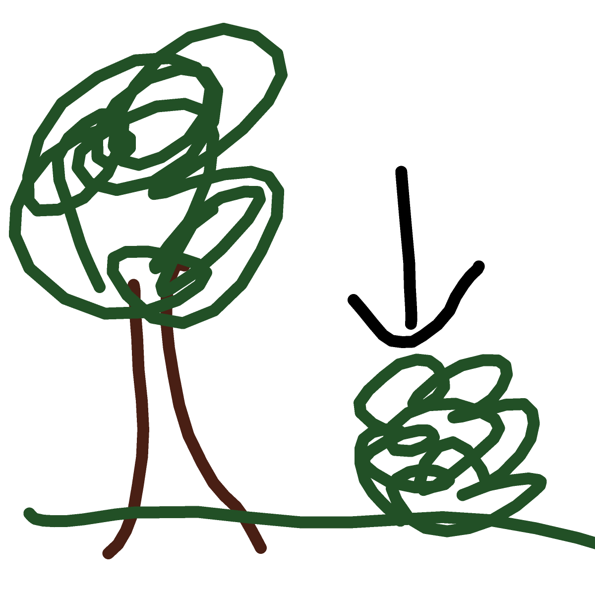 Bush drawing by Bri3