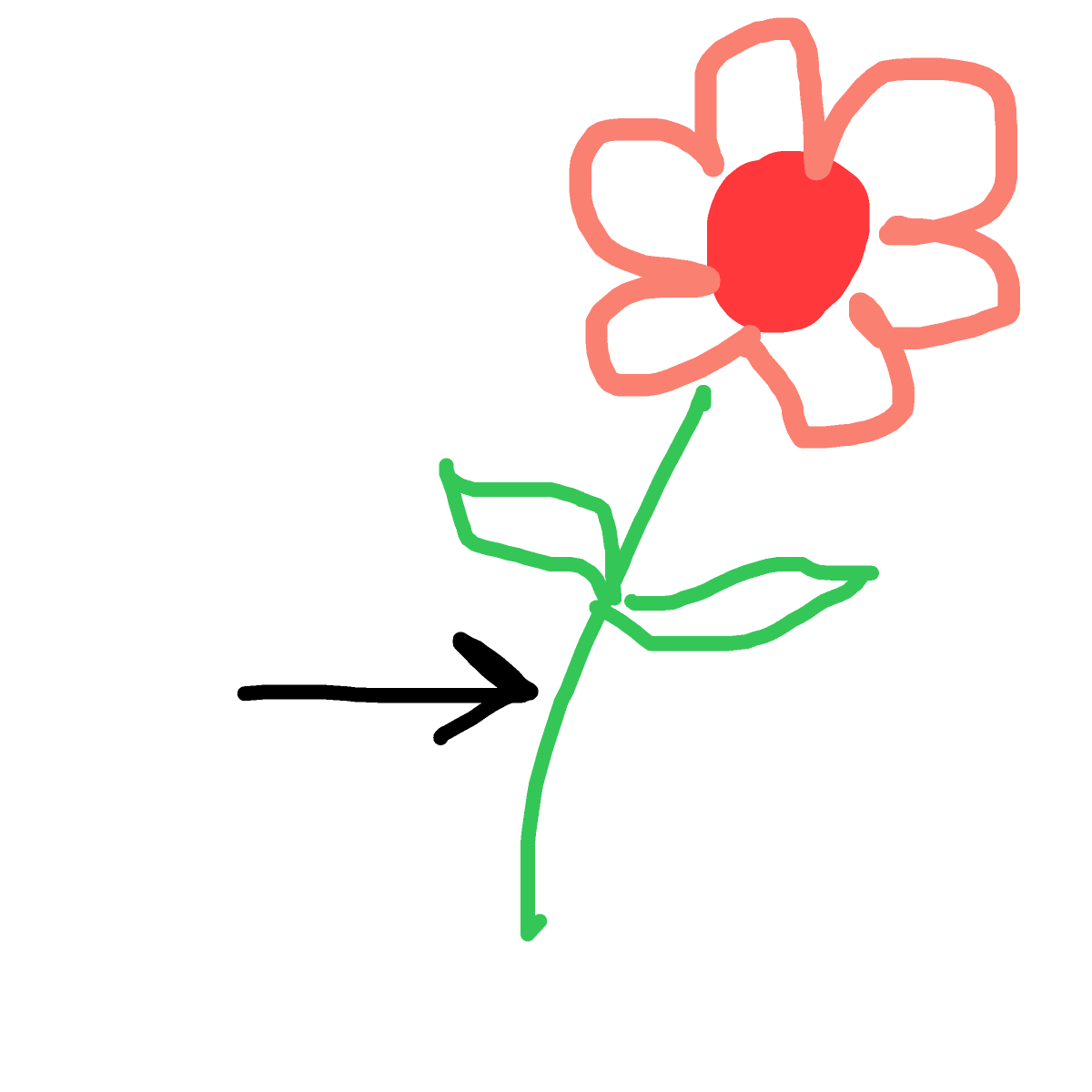 Stem drawing by hatben