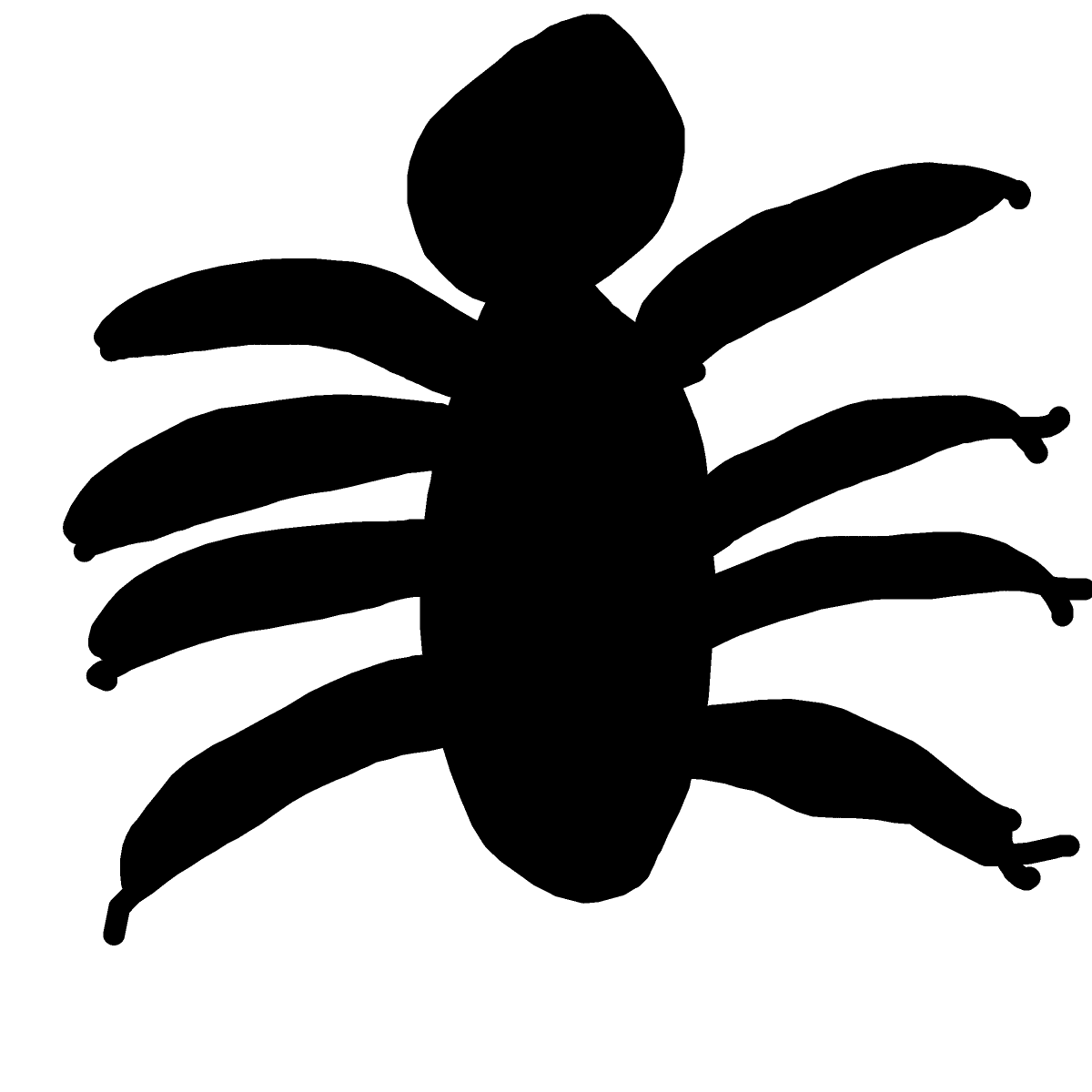 Tarantula drawing by Betsy