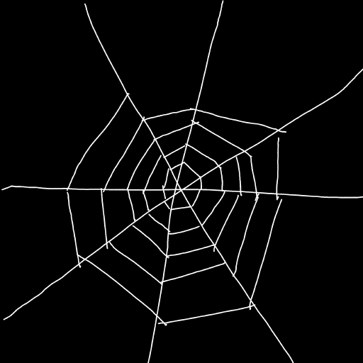 Spider Web drawing by Shandi