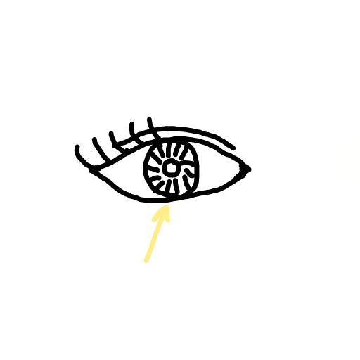 Pupil drawing by doublem