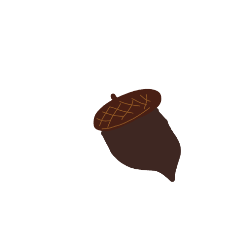 Acorn drawing by MoDarsot