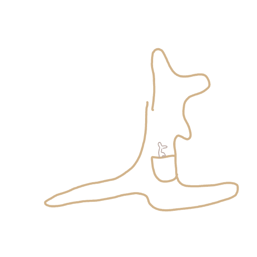 Kangaroo drawing by Shandi