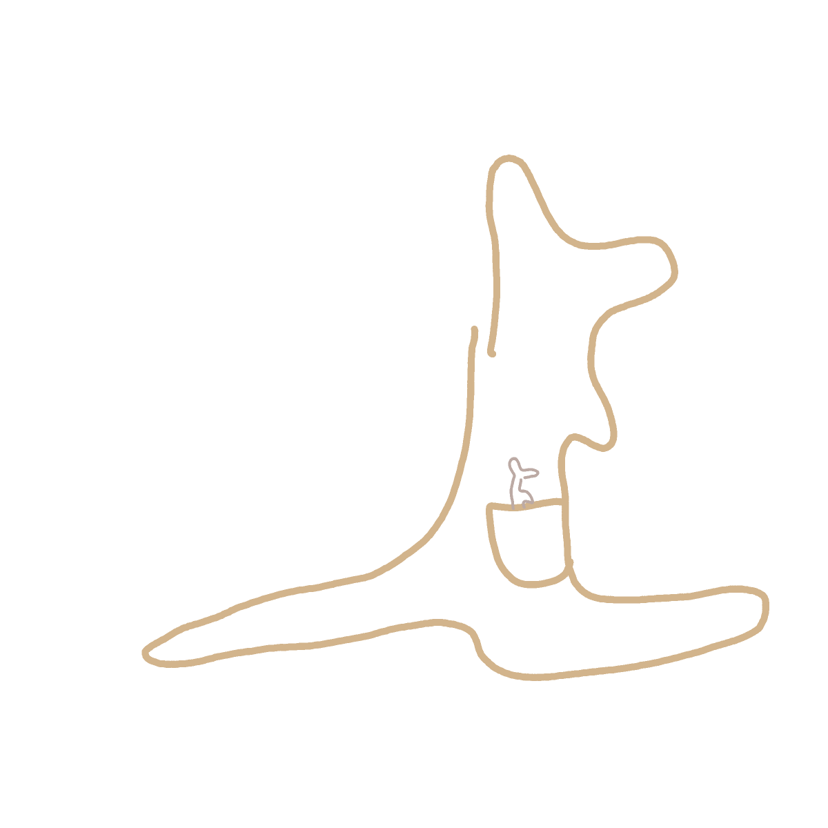 Kangaroo drawing by Shandi