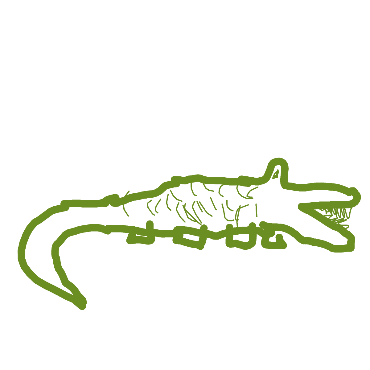 Crocodile drawing by Mr Doodles