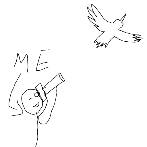 Birding drawing by Nuss
