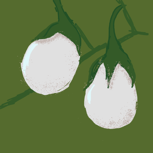 Eggplant drawing by Soybean