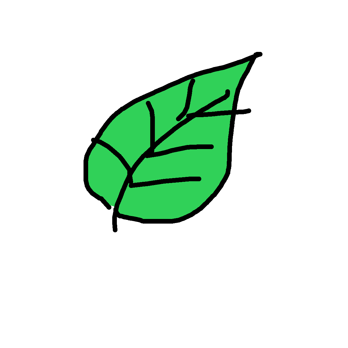 Leaf drawing by red-icy-frost