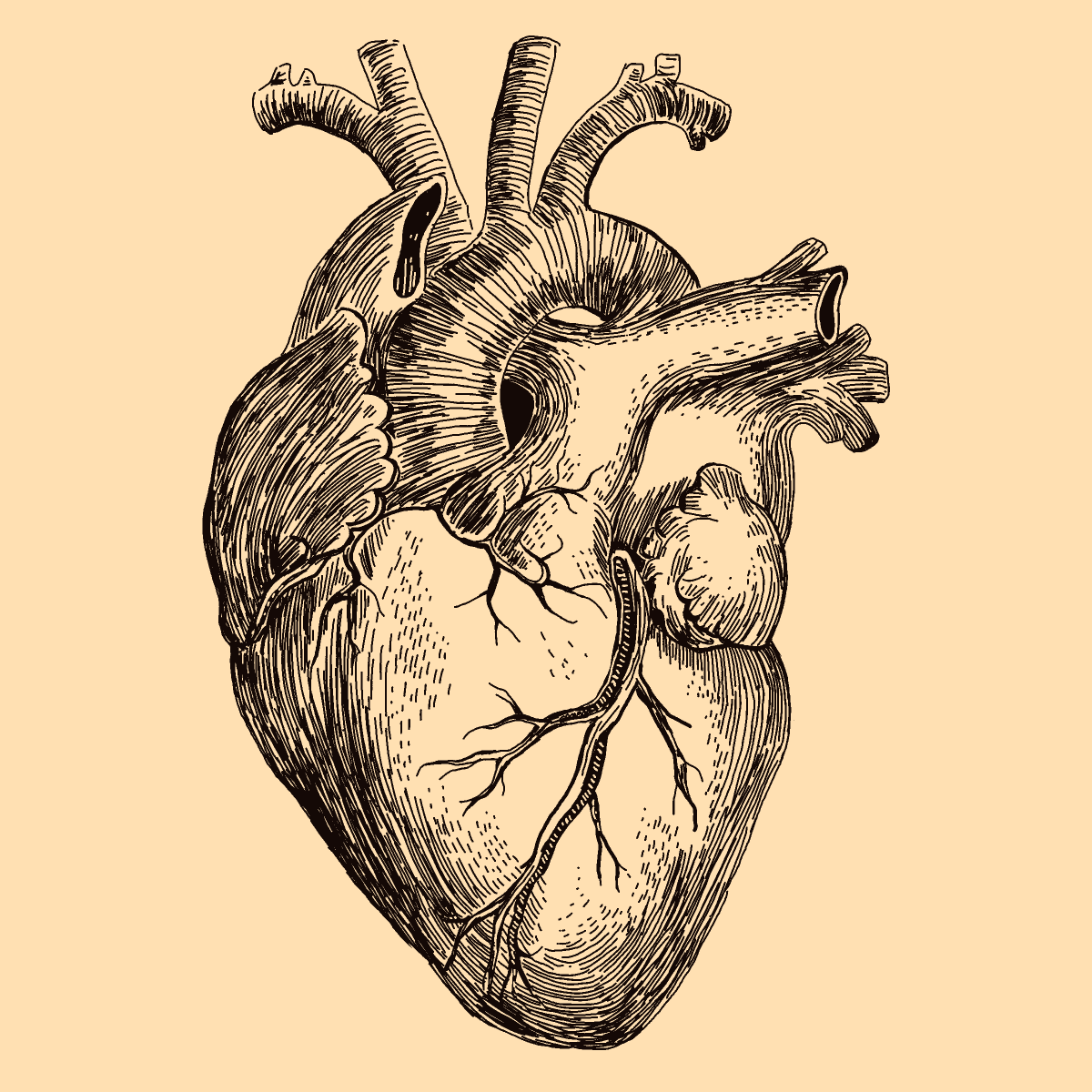 Heart drawing by Soybean