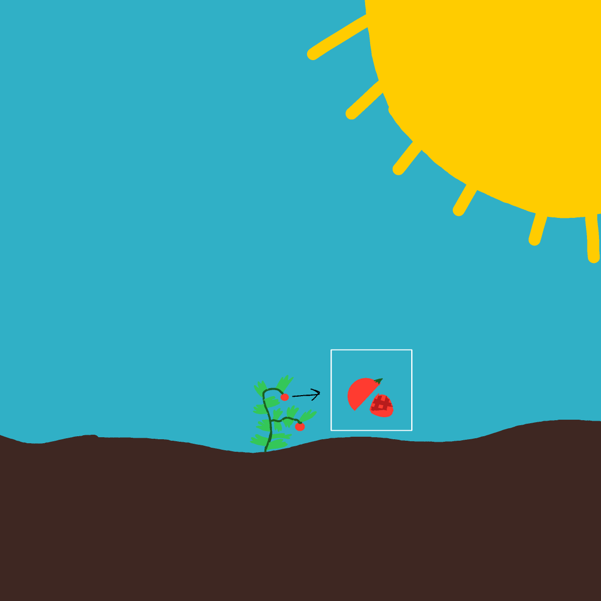 Tomato drawing by Cwis448